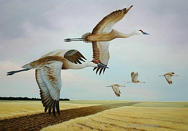 Prairie Sands - Sandhill Cranes by Robert Schlenker