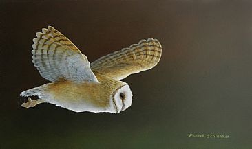 Midnight Run - Barn Owl  by Robert Schlenker
