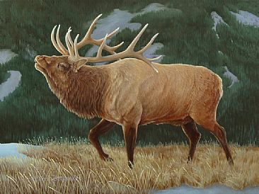 Lamar Valley Boss - American Elk  by Robert Schlenker