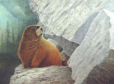 Always On Alert - Hoary Marmot by Robert Schlenker