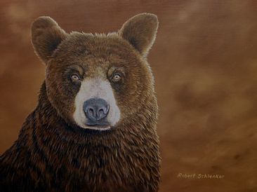Young Bear - Black Bear - brown phase by Robert Schlenker