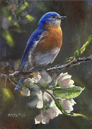 Bluebird - Bluebird by Laura Mark-Finberg