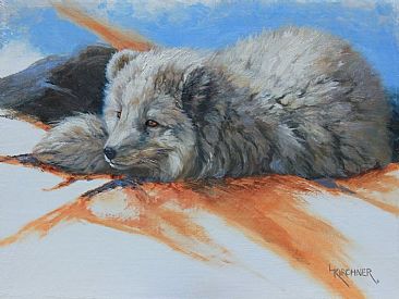 A Break In The Weather- Arctic Fox - Arctic Fox by Leslie Kirchner