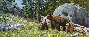 A Day In The Life- Black Bears - Black Bear and cubs by Leslie Kirchner
