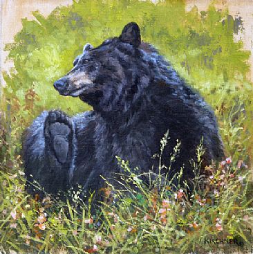 A Quick Scratch- Black Bear - Black Bear by Leslie Kirchner