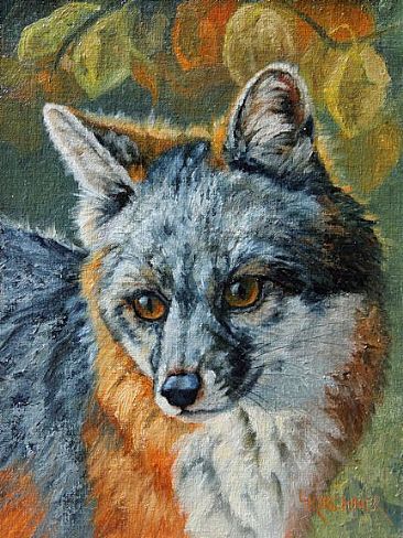 A Slight Sound -Gray Fox - Gray Fox by Leslie Kirchner