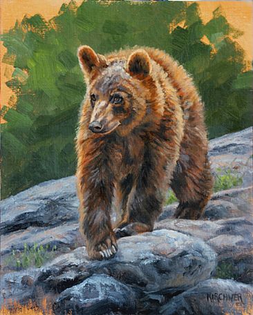 Exploration Black Bear Cub - Black Bear Cub by Leslie Kirchner