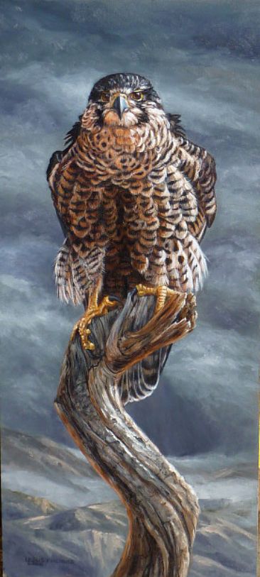 High Above Peregrine - Peregrine Falcon by Leslie Kirchner