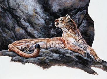 Lofty Aspirations- Cougar - Cougar by Leslie Kirchner