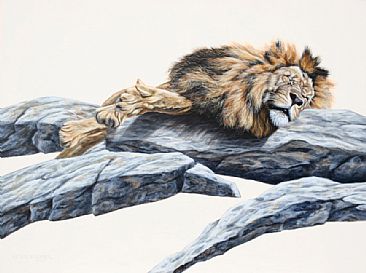 Majestic Slumber - African Lion by Leslie Kirchner