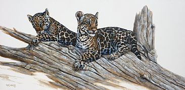 Patiently Waiting- Jaguar Cubs - Jaguar Cubs by Leslie Kirchner