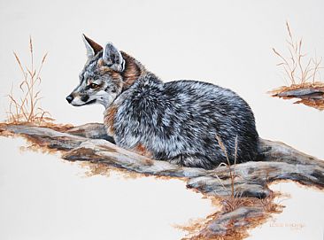 Resting- Grey Fox - Grey Fox by Leslie Kirchner