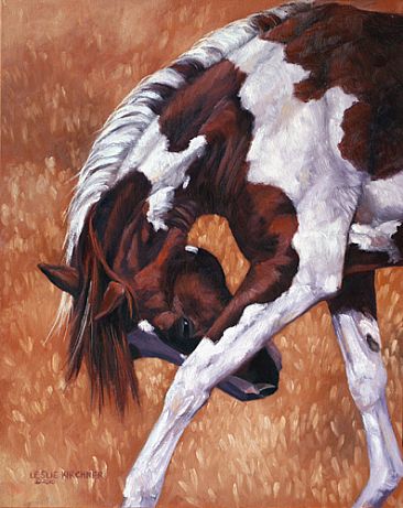 Sun's Firelight - Paint Horse by Leslie Kirchner