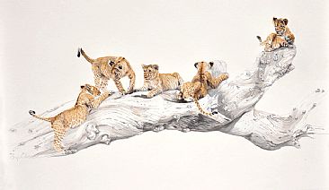 Lion Cubs - Adventure playground - Lion Cubs by Lyn Ellison
