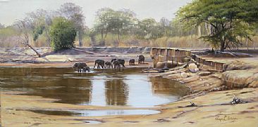 An African Dream - African Elephants Crossing a River in Zambia by Lyn Ellison