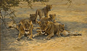 Any Shade Will Do - Lions by Lyn Ellison