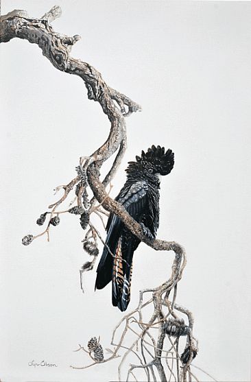 Banksia Lookout - Female Redtail Black Cockatoo by Lyn Ellison