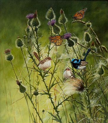 Beauty Amongst the Thorns - Monarch Butterflies, Superb Fairy Wrens and Thistles by Lyn Ellison
