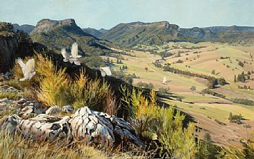Brooding Wilderness Meets tranquil Vally - Sulphur Crested Cockatoos and Australian Landscape by Lyn Ellison