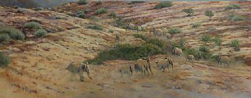 Desert Elephants - Damaraland - Desert Elephants by Lyn Ellison