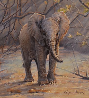 Elephant calf - Pocket Size Perfection  - Elephant by Lyn Ellison
