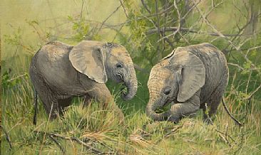 Elephant Playschool - Elephant calves by Lyn Ellison
