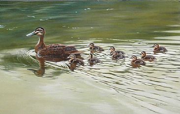 First Day Afloat - Pacific black ducks by Lyn Ellison