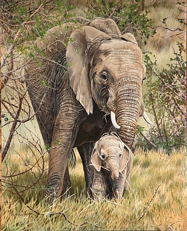 Elephants - Future matriarch - African elephants by Lyn Ellison