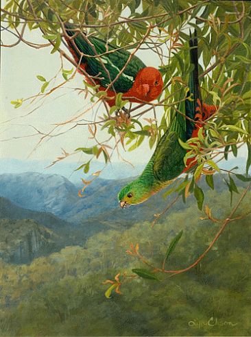 In High Places - King parrots by Lyn Ellison