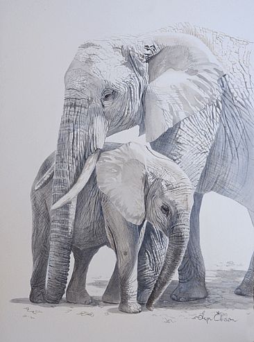 Elephants - In Mum's Shadow - African elephants by Lyn Ellison