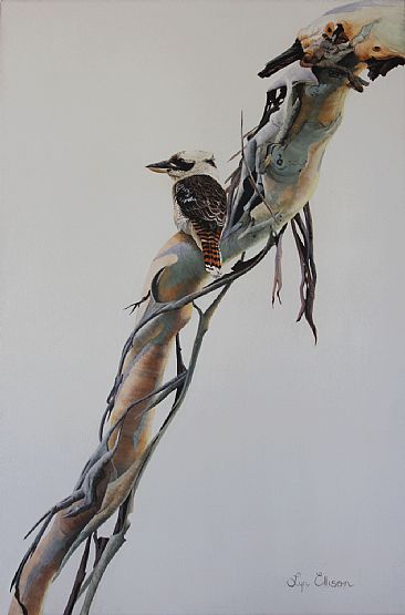 Kookaburra Sits on the Old Gumtree - Kookaburra by Lyn Ellison