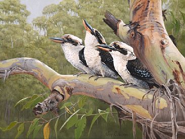 Kookaburras - The Three Tenors  - Kookaburras by Lyn Ellison
