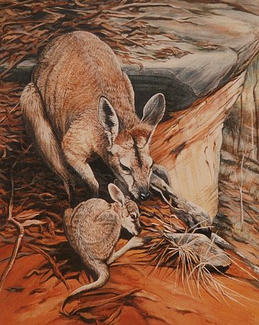 Wild About You - Lucky Chance (Page 6) - Wallaroo and her joey by Lyn Ellison
