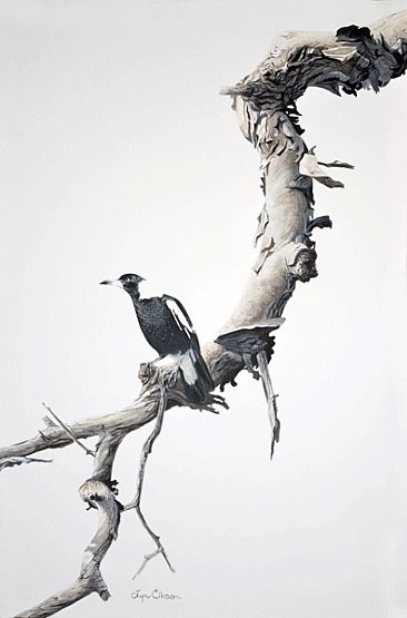 Magpie Lookout - Australian magpies by Lyn Ellison