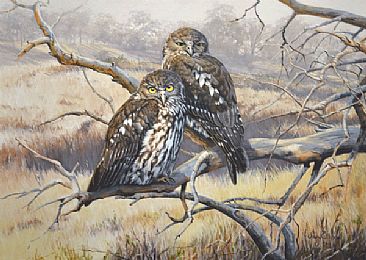 Barking Owls - 'Morning Comes Softly for the Night Watchmen - Barking Owls by Lyn Ellison