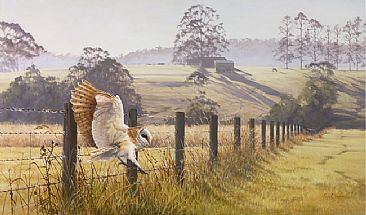 Morning Has Broken - Barn owl in landscape by Lyn Ellison