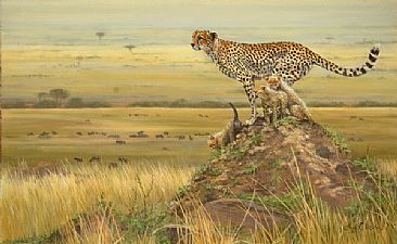On High Ground - Cheetahs by Lyn Ellison