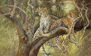 Out of Reach - Leopard Cubs by Lyn Ellison