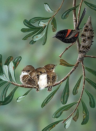 Wild About You - Friends with Feathers   (Page 22) - Red-backed Wrens  by Lyn Ellison