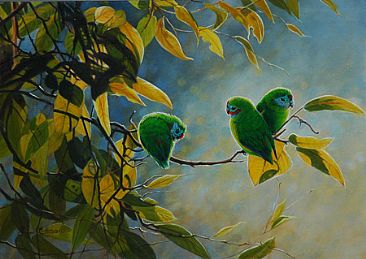 Pocket Size - Double Eyed Fig Parrots by Lyn Ellison