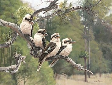 Kookaburras  'The Rowdy Gang, - Kookaburras by Lyn Ellison