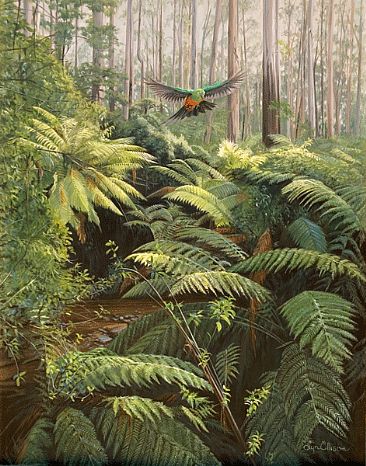 Sherbrooke Gully - King Parrot and Tree ferns                                        by Lyn Ellison