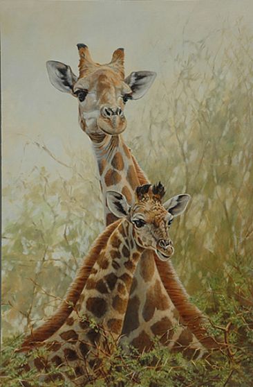 Tall Girls - Giraffes by Lyn Ellison