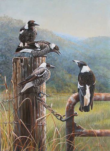 The Gate Post Gang - Australian magpies by Lyn Ellison