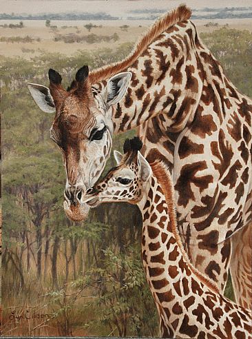 Giraffe - The Long Stretch - Maasai giraffe by Lyn Ellison
