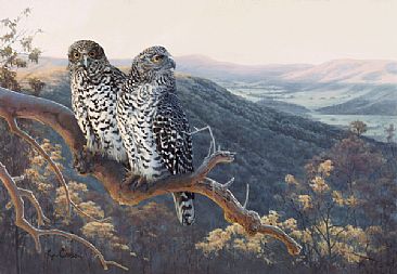 Powerful Owls - Waiting For the Night Watch - Powerful Owls by Lyn Ellison