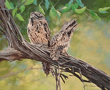 Tawny Frogmouths 'We're Just Part of the Branch You Know! - Tawny Frogmouths by Lyn Ellison