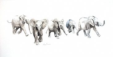 We're In Your Hands - African Elephant Orphans by Lyn Ellison