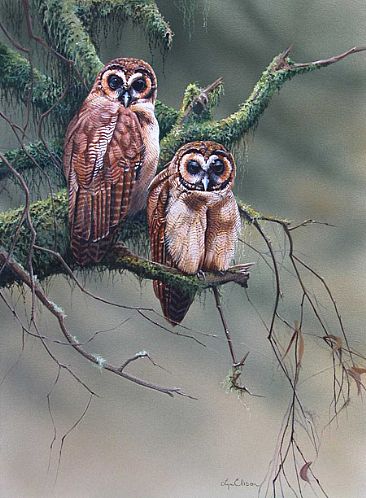Its All In the Eyes - Brown Wood Owls by Lyn Ellison