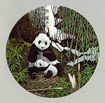 Oriental Treasure - Giant panda by Pat Watson